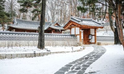 Musim Salju di Korea Bulan Apa