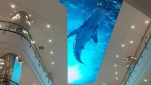mall semarang aquarium